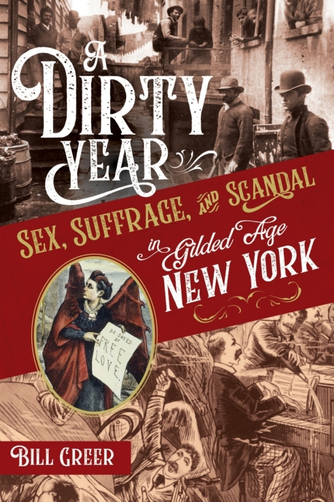 Cover image for book A Dirty Year