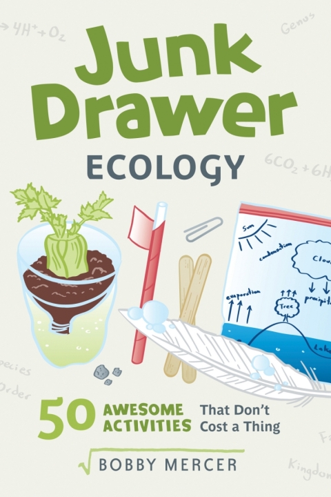 Cover image for book Junk Drawer Ecology