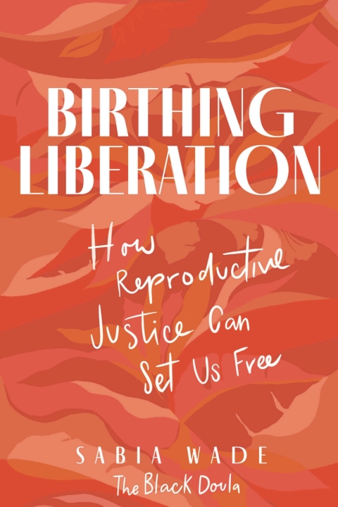 Cover image for book Birthing Liberation