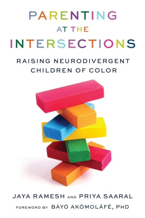 Cover image for book Parenting at the Intersections