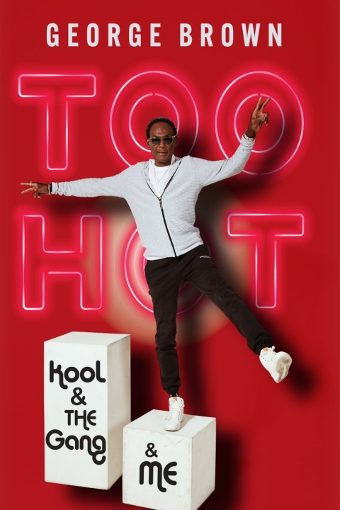 Cover image for book Too Hot