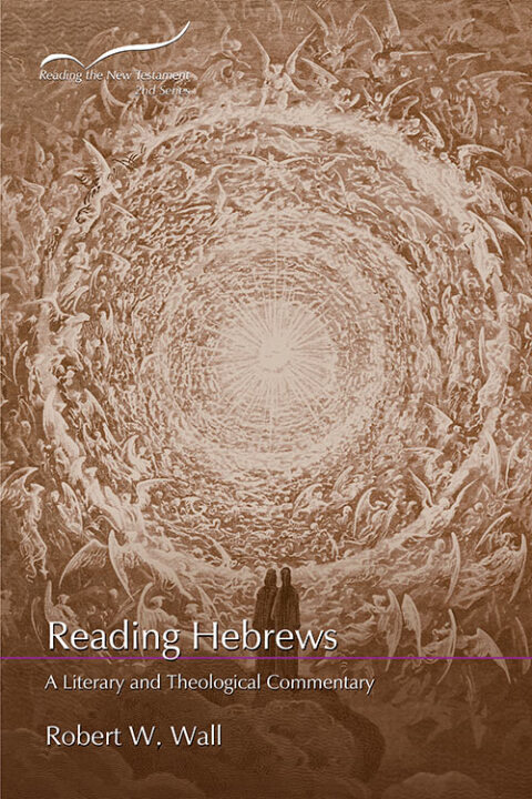 Cover image for book Reading Hebrews (Second Series)
