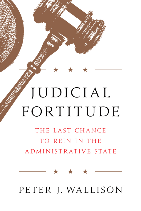 Cover image for book Judicial Fortitude