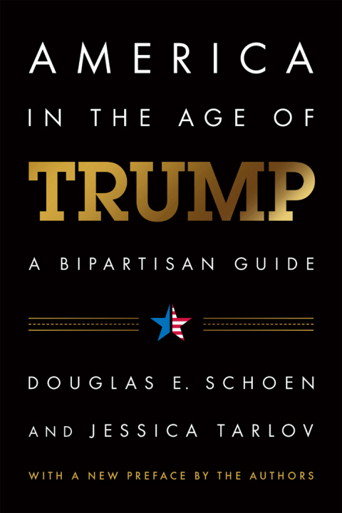 Cover image for book America in the Age of Trump