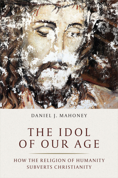 Cover image for book The Idol of Our Age