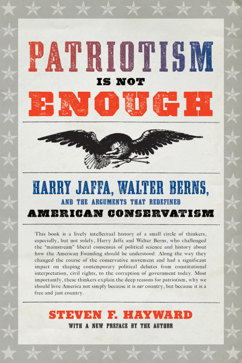 Cover image for book Patriotism Is Not Enough