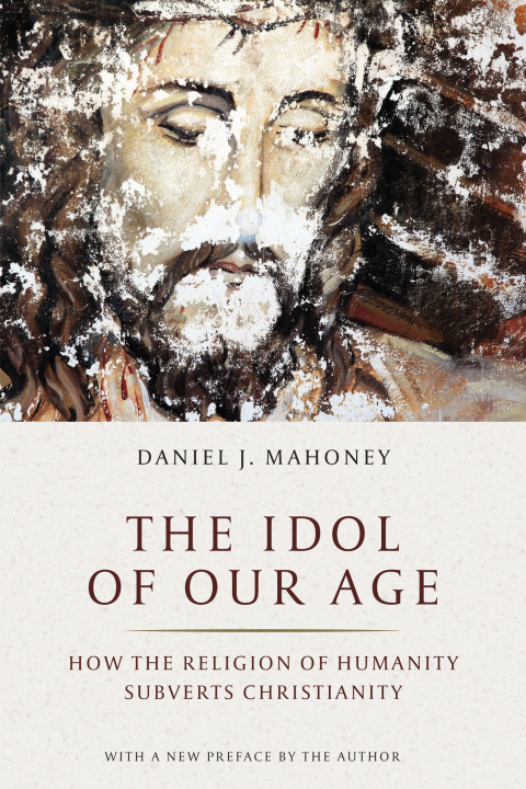 Cover image for book The Idol of Our Age