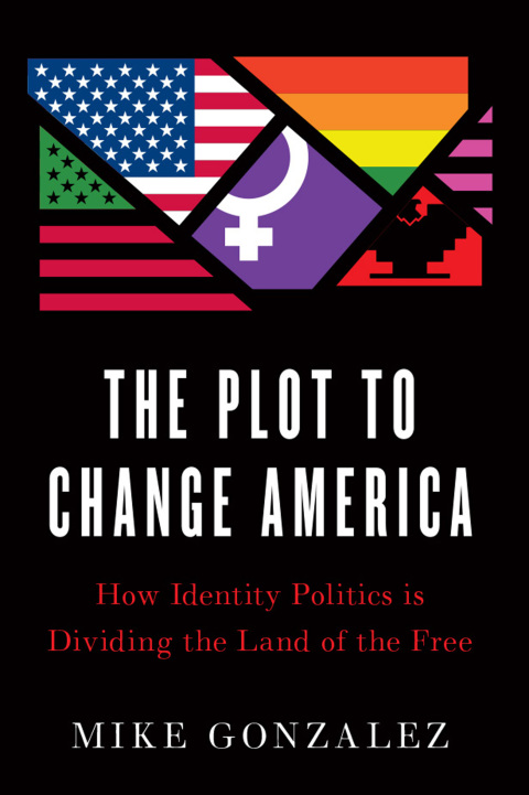 Cover image for book The Plot to Change America