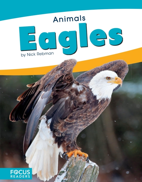 Cover image for book Eagles