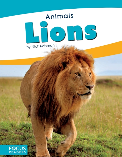 Cover image for book Lions