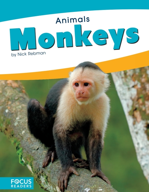 Cover image for book Monkeys