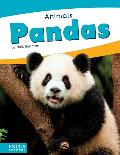 Cover image for book Pandas