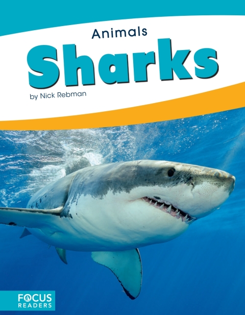 Cover image for book Sharks