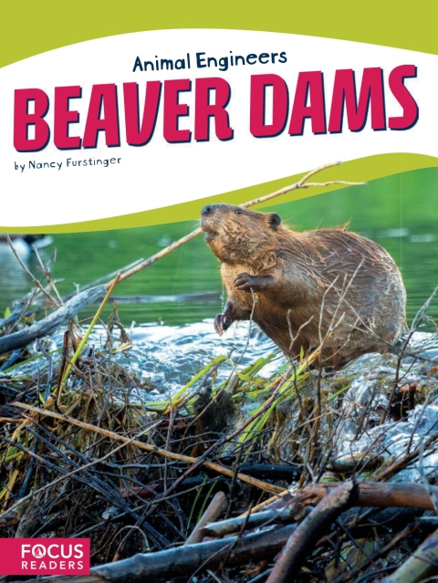 Cover image for book Beaver Dams