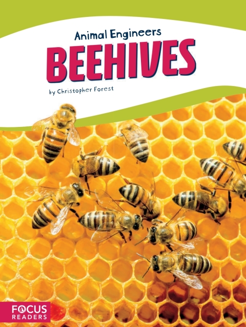 Cover image for book Beehives