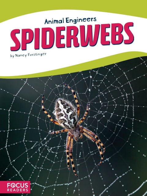 Cover image for book Spiderwebs