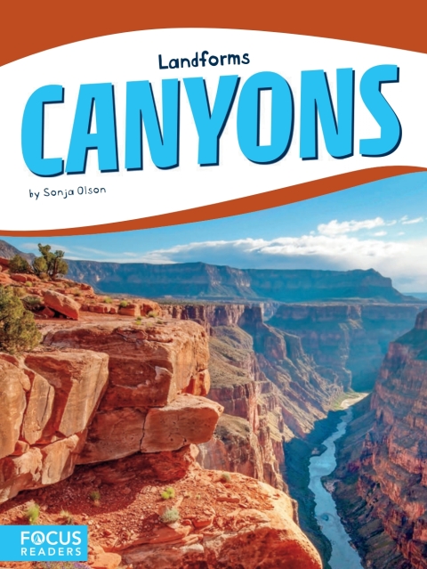 Cover image for book Canyons