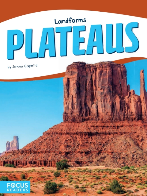 Cover image for book Plateaus