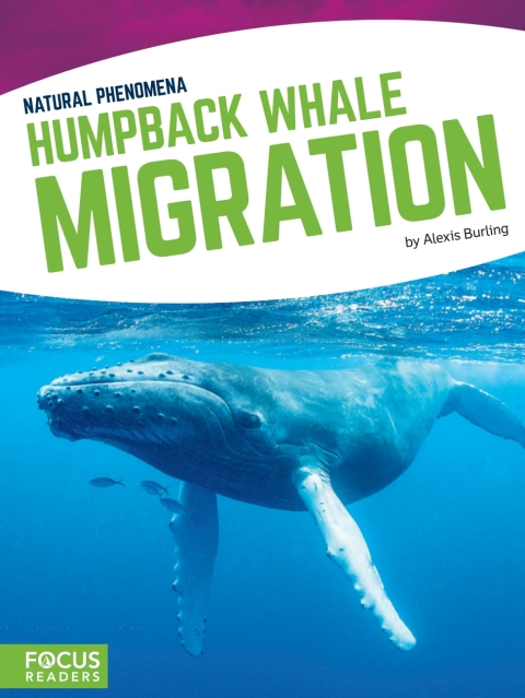 Cover image for book Humpback Whale Migration