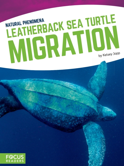 Cover image for book Leatherback Sea Turtle Migration