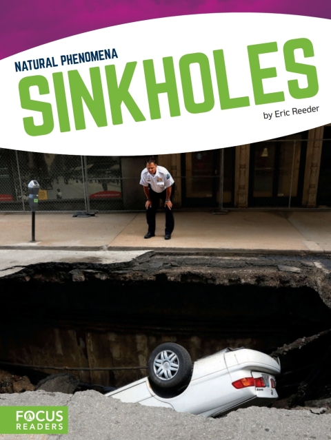 Cover image for book Sinkholes