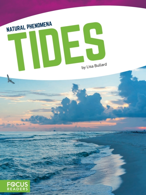 Cover image for book Tides
