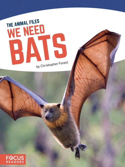 Cover image for book We Need Bats