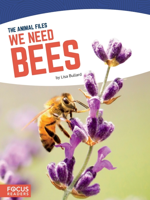 We Need Bees 