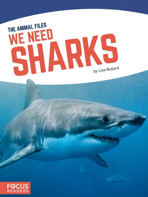 We Need Sharks 