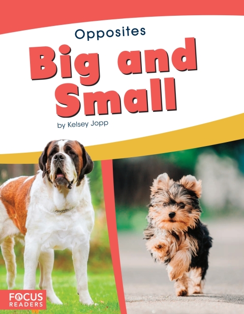Cover image for book Big and Small