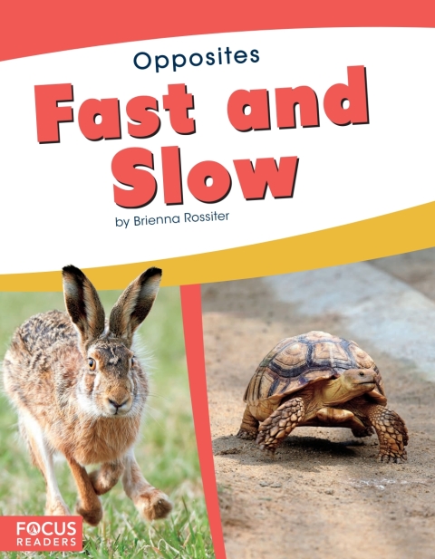 Cover image for book Fast and Slow