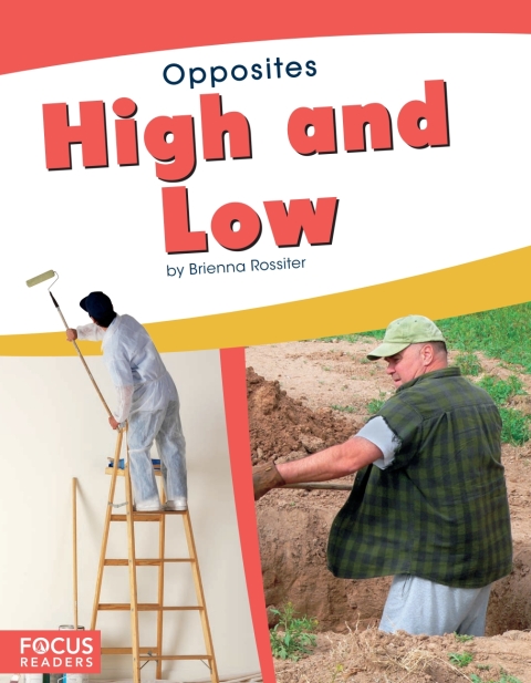 Cover image for book High and Low