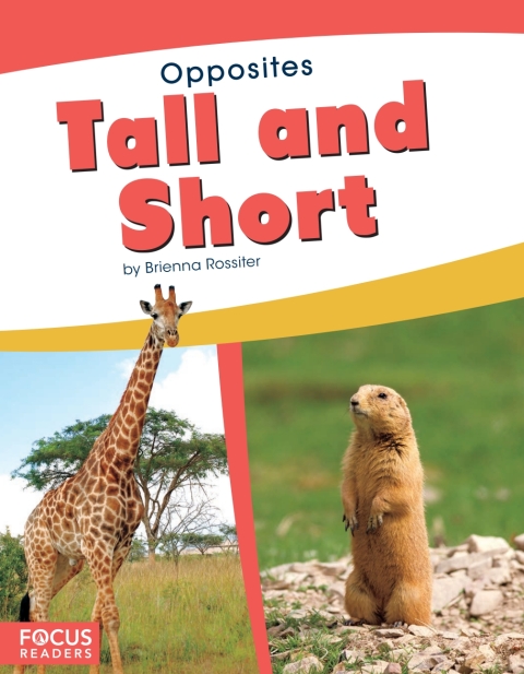 Cover image for book Tall and Short