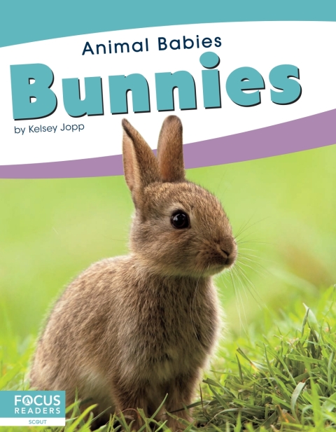 Cover image for book Bunnies