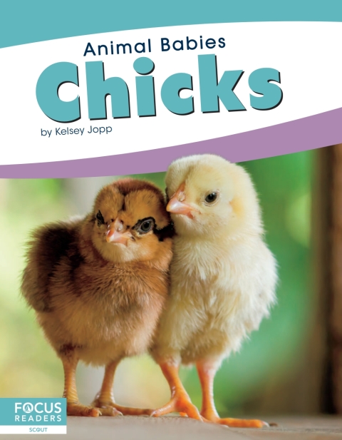 Cover image for book Chicks