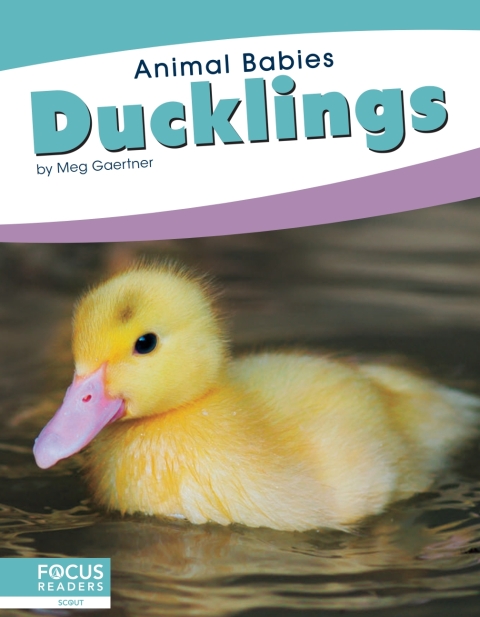 Cover image for book Ducklings