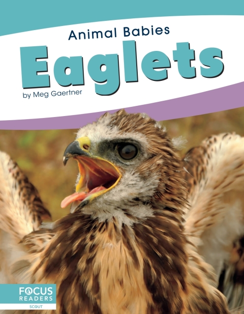 Cover image for book Eaglets