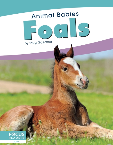 Cover image for book Foals
