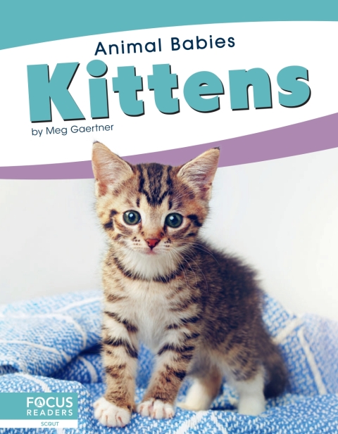 Cover image for book Kittens