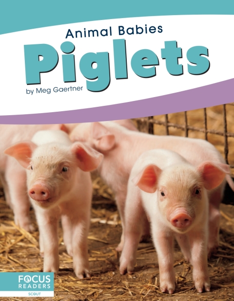 Cover image for book Piglets