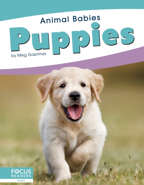 Cover image for book Puppies