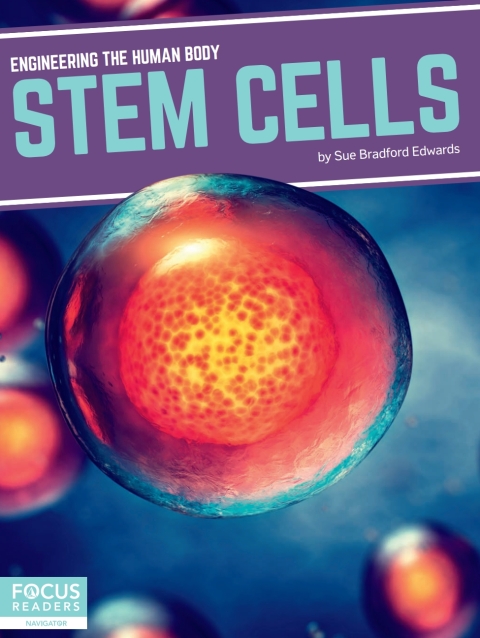 Cover image for book Stem Cells