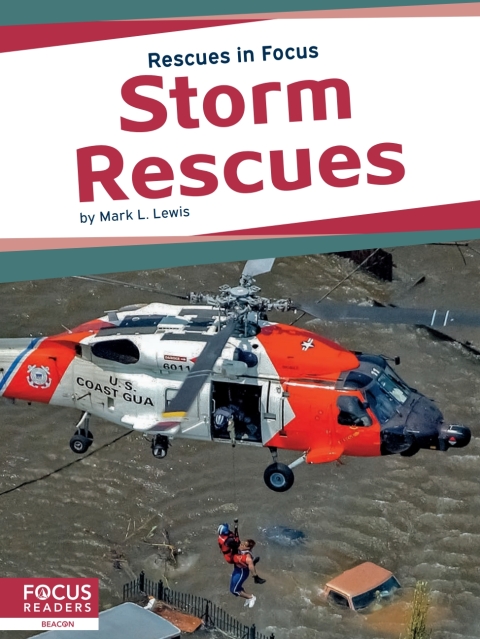 Cover image for book Storm Rescues
