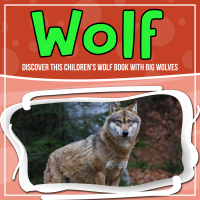 صورة الغلاف: Wolf: Discover This Children's Wolf Book With Big Wolves 9781641934381