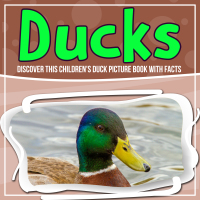 Cover image: Ducks: Discover This Children's Duck Picture Book With Facts 9781641934411
