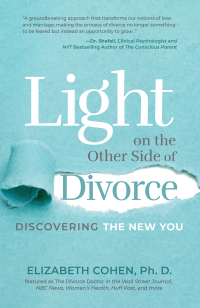 Cover image: Light on the Other Side of Divorce 9781642505566