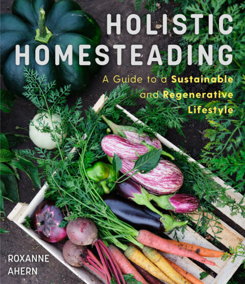 Cover image for book Holistic Homesteading