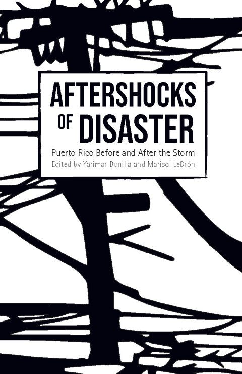 Cover image for book Aftershocks of Disaster