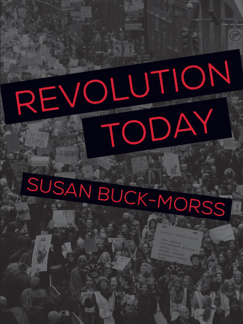 Cover image for book Revolution Today
