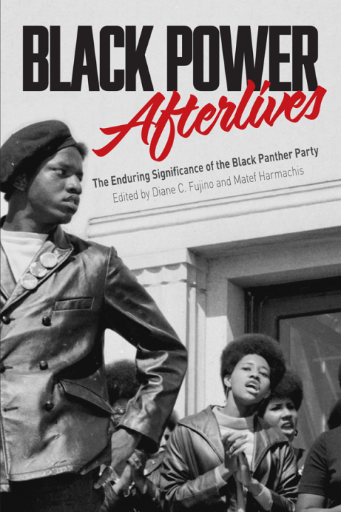 Cover image for book Black Power Afterlives